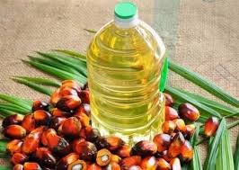 Palm oil olein