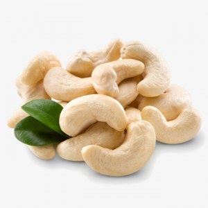 Cashew nuts for wholesale price