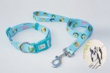 Pet leash and collar for dog -ODM and OEM are welcome