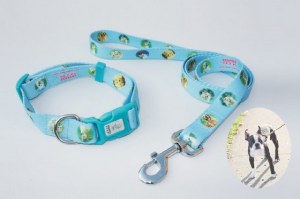Pet leash and collar for dog -ODM and OEM are welcome