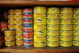 Canned mackerel in oil