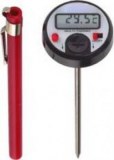 Insertion digital thermometer