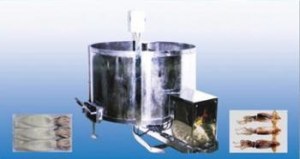 Squid washing and peeling machine