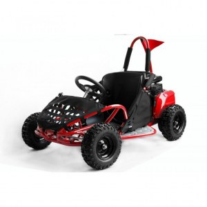 Buggy 80cc