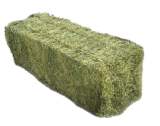 Alfalfa Hay Bales/Alfalfa Cubes/Alfalfa Pellets Offer