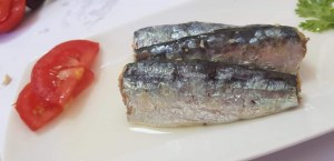 Moroccan Sardines distributors,