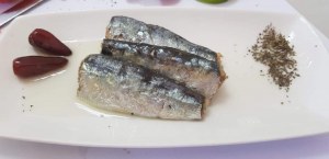 Moroccan sardines export
