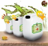 The Marvel of Moroccan Prickly Pear Seed Oil