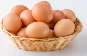 High Quality Fresh Chicken Eggs