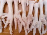 HALAL chicken feet,chicken paws, whole chicken