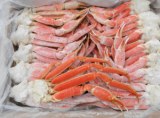 Frozen crab and live crab for sale