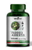 Fadogia Agrestis Powder Fadogia Agrestis Extract Capsules
