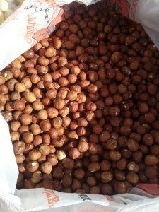 Azerbaijani Hazelnut