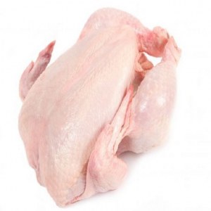 Halal frozen chicken wholesale price