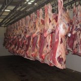 Halal frozen beef meat for sale