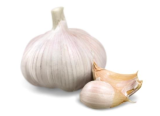 Wholesale natural white garlic / garlic powder