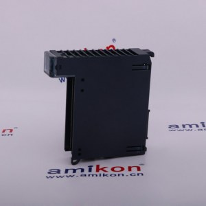 GE DS200PLIBG2ACA  Email: sales3@amikon.cn