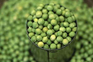 Fresh and frozen green peas