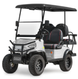 Electric Golf Cart Lithium Battery