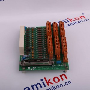 Honeywell 51304754-150  Email: sales3@amikon.cn !!!