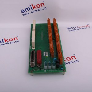 HONEYWELL 51304487-100  Email: sales3@amikon.cn