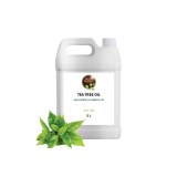 BioProGreen Quality tea tree oil Exportation Services
