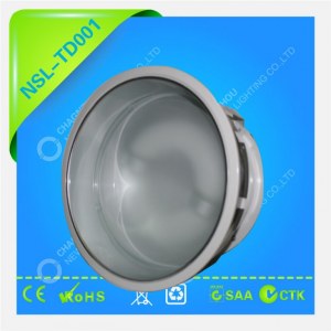 Induction Downlight 40W/60W/80W