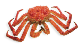 Frozen and Live Fresh Red King Crabs / Mud Crab / Blue Crab