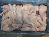 Halal frozen chicken