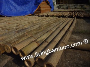 Bamboo Poles For Construction, Furniture, Gazebo, Tiki Bar