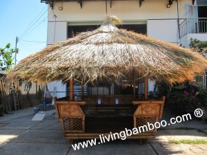 Bamboo Furniture