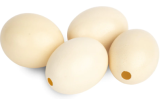 Fertile Hatching Ostrich Eggs/ High Quality Wholesale Price Ostrich Eggs