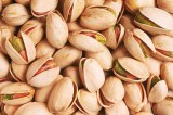 Grade A Pistachio Nuts, Pistachio with and without Shell