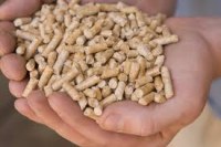 Animal feeds hays grass pellet