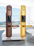 Intelligent lock with different colors different designs