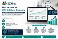SEO Solutions for B2B Database Companies | Growth Naavik