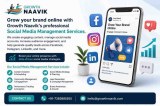 Social Media Management Services in india