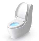 Full Back To Wall Rimless Modern Soft Close Toilet Seat