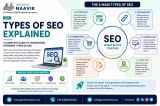 Types of SEO Explained for Better Search Visibility - Growth Naavik