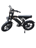 Fatbike V20 | 2023 Model | Now in Stock in our Warehouse in Holland!!!
