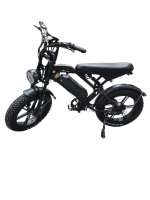 Fatbike V20 | 2023 Model | Now in Stock in our Warehouse in Holland!!!