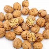 Good Quality Walnuts for sale