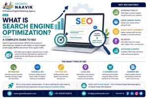 What Is Search Engine Optimization (SEO)?