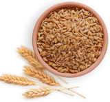 Soft and Hard Wheat Grains / Premium Quality Soft Milling Wheat