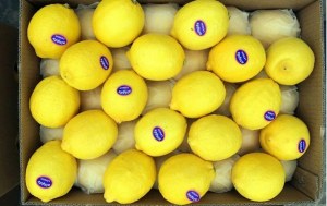 Fresh lemons